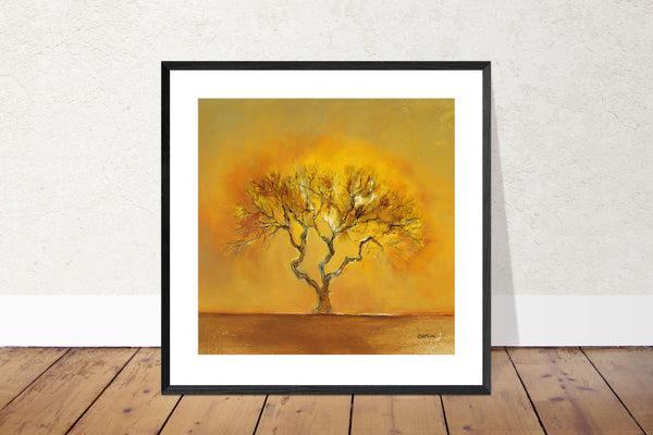 Orange Tree (G4)