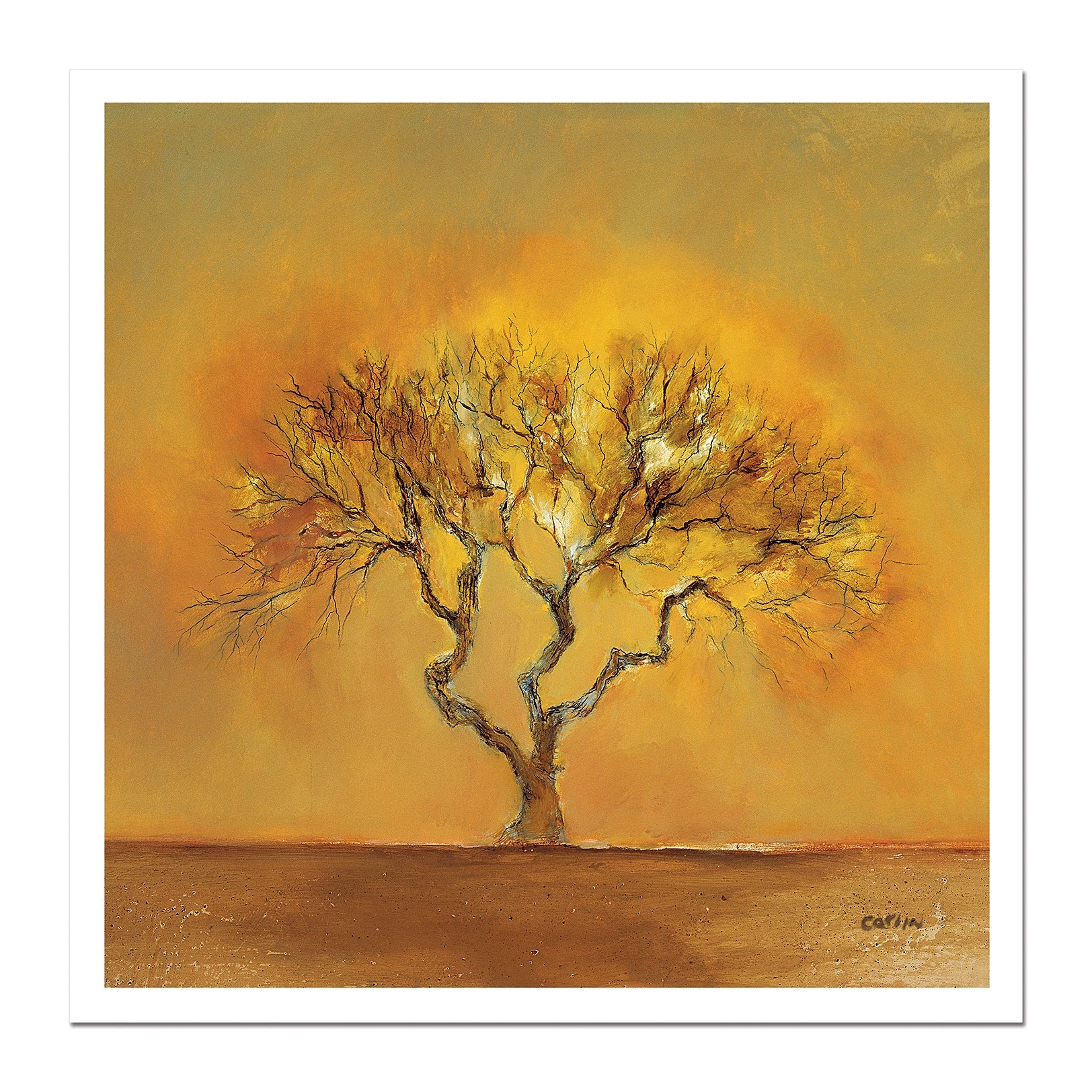 Orange Tree (G4)