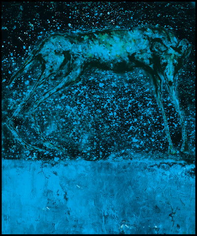 Blue Night Wild Dog (M31)