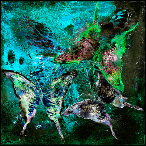 Butterflies - Aquamarine (M62)