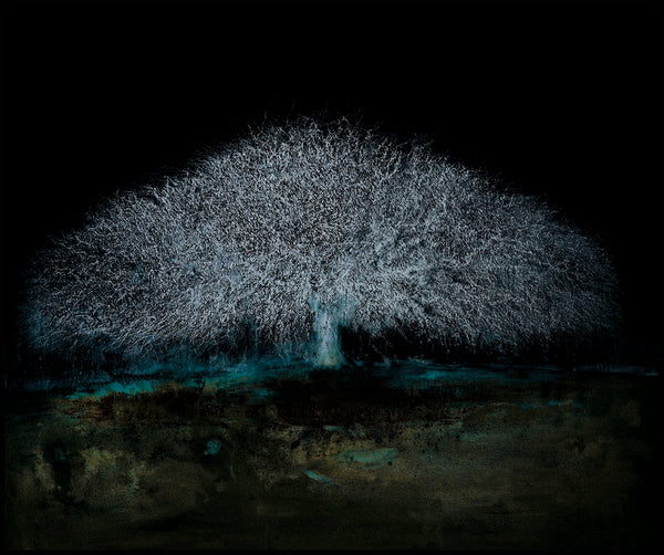 Night Tree (A37)