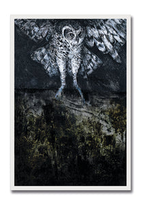 Classic Giclée Series (2023) - Owl (C1)